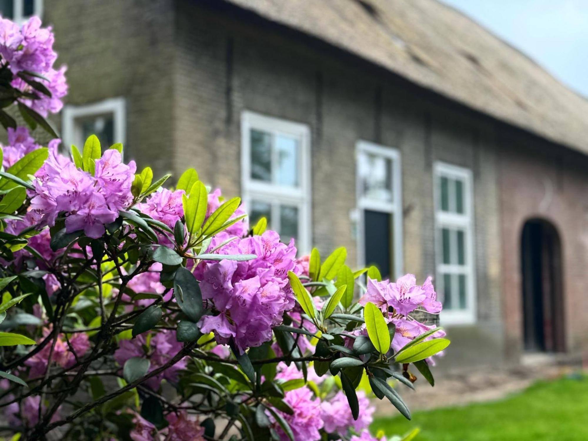 Het Hoevehuys Wagenberg Exterior foto